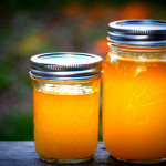 Šta je gi i zašto bi trebalo da ga koristite?