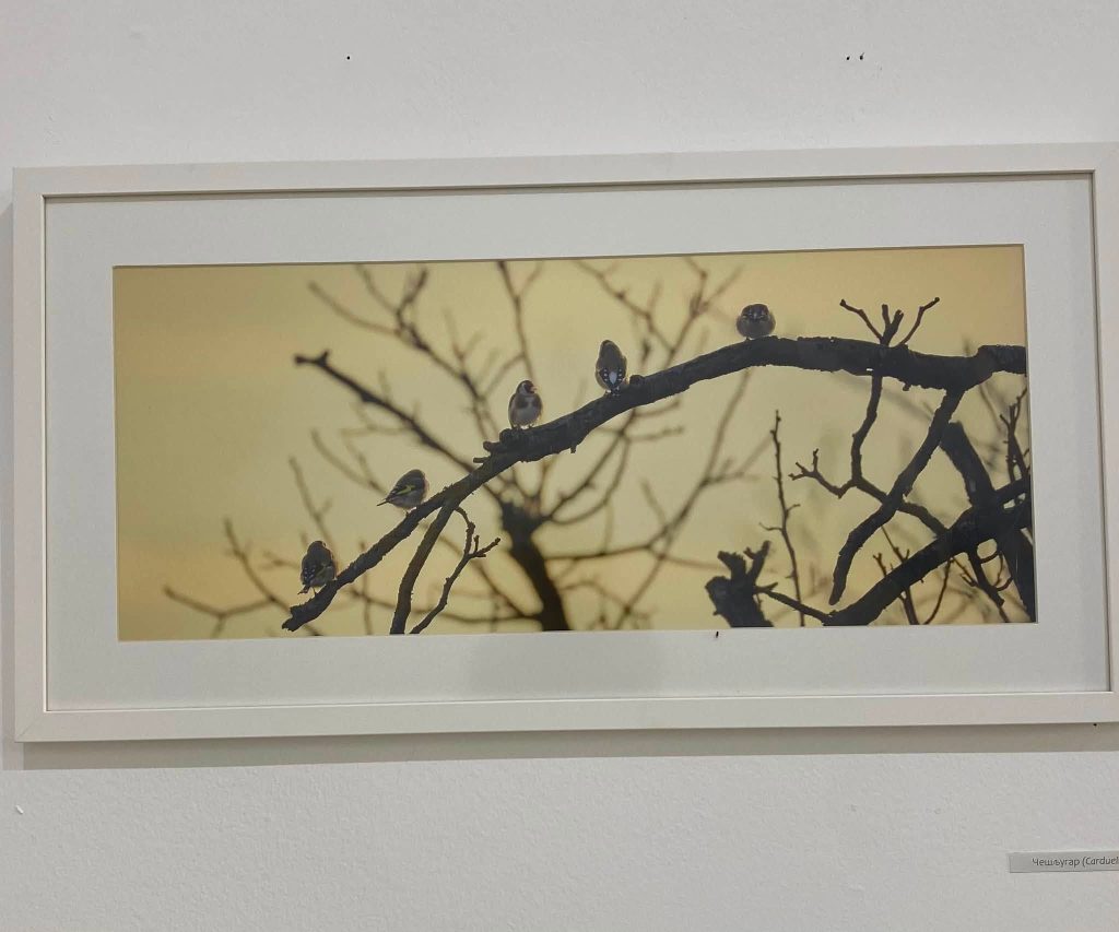 IZLOŽBA „JOŠ UVEK NIJE TIŠINA” U GALERIJI „MEANDER” DO 8. JULA