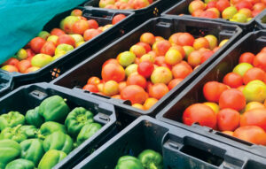 AFDB sees gains in Veges Import ban