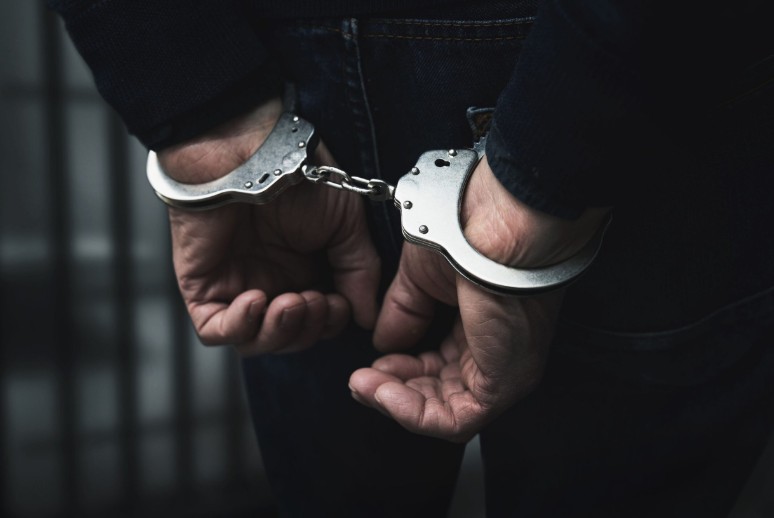 Policijata pronajde 85 stebla so marihuana vo domot na prilepčanec