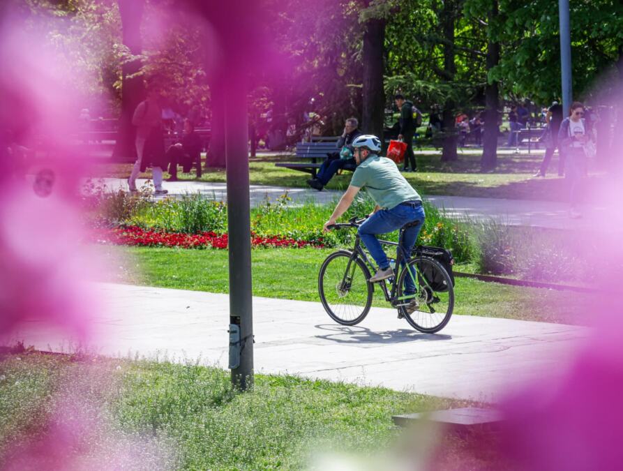 Od -2 do 27 stepeni u samo nedelju dana: Posle prvomajskog mraza, Čubrilo otkriva kod datuma stiže otopljenje