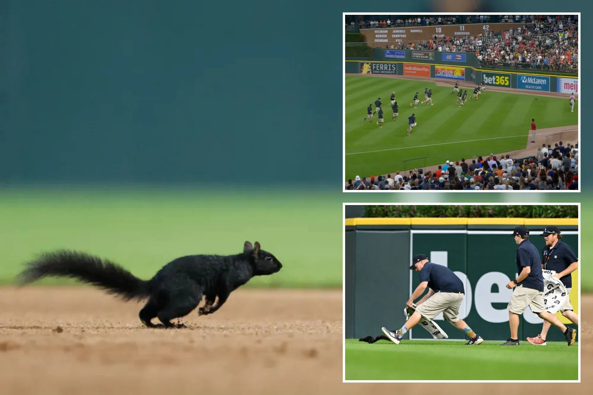 Squirrel invades Tigers-Orioles game — and grounds crew is powerless to stop it