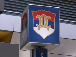 OSTALO MALO VREMENA Šta će odlučiti SDS?