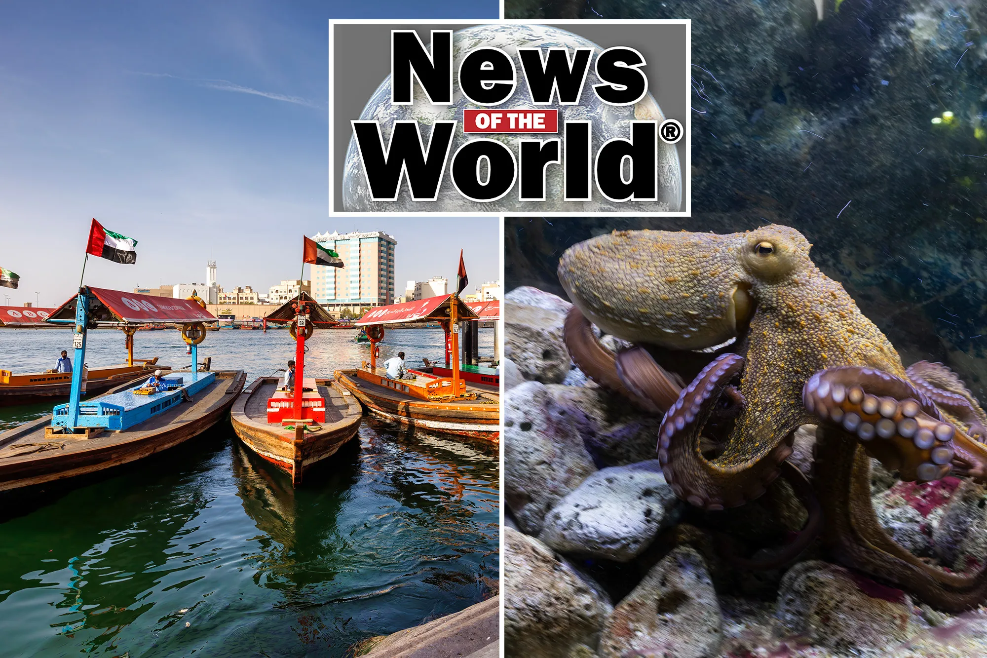 News of the World: What you missed this week internationally