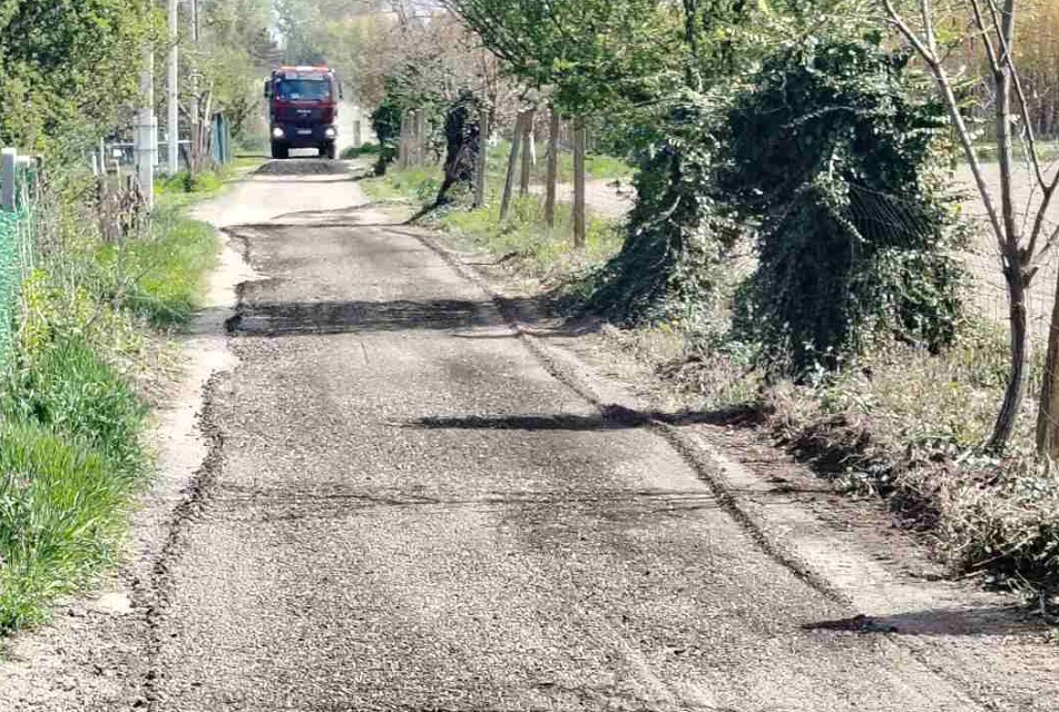 VLASNICI VIKENDICA UREDILI PRISTUPNI PUT KA STAROM DUNAVU