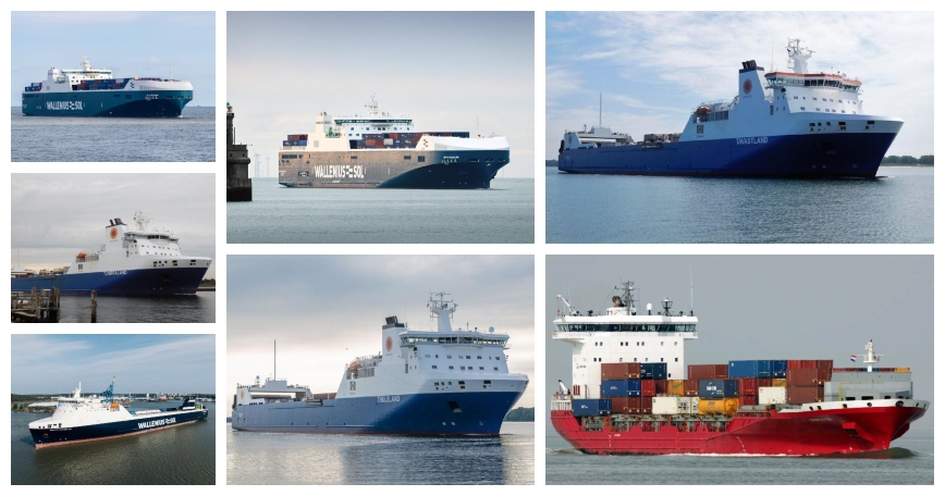 Wallenius köper ut partner