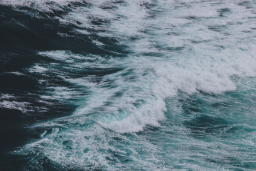 Subida do nível do mar está a acelerar, com ritmo a duplicar desde 2005
