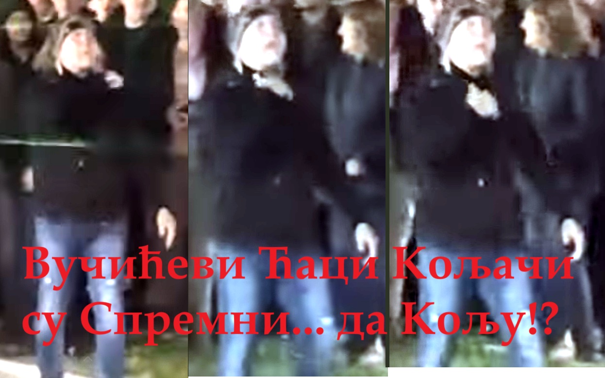 ЕДИТОРИЈАЛ: БЕЗВРАТИ И ГЛАВАТИ КОЊО(ГЛАВО)КРАДИЦЕ- ИЛИ ПРЕДСЕДНИКОВА ПОСЛЕДЊА ЛИНИЈА ОДБРАНЕ!?