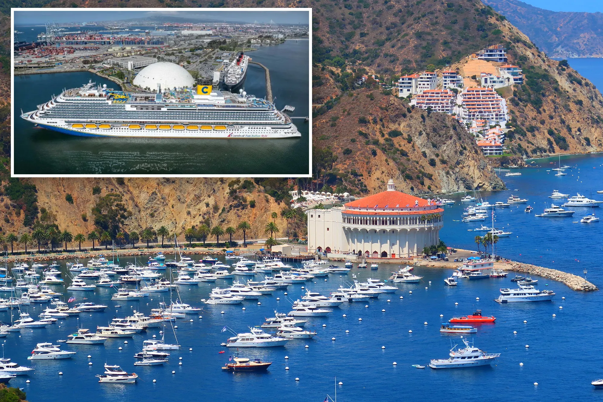 Woman plunges to her death from balcony on Carnival cruise ship near Catalina Island