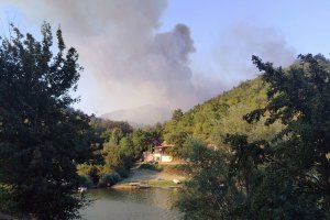Požar od Bovna prema Mozgovu, guta sve pred sobom, širi se do kuća