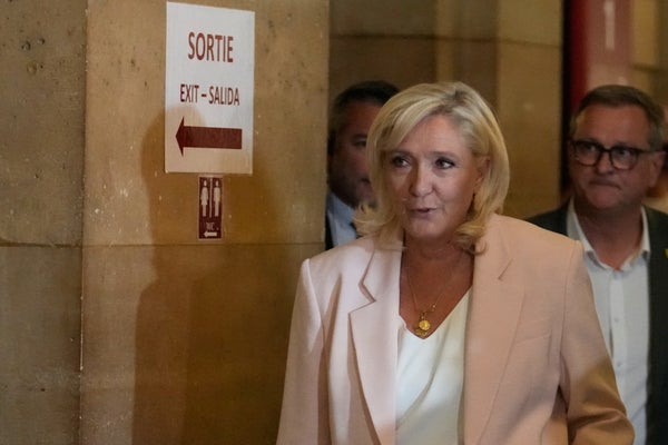 Marine Le Pen: Jag ställer upp i presidentvalet