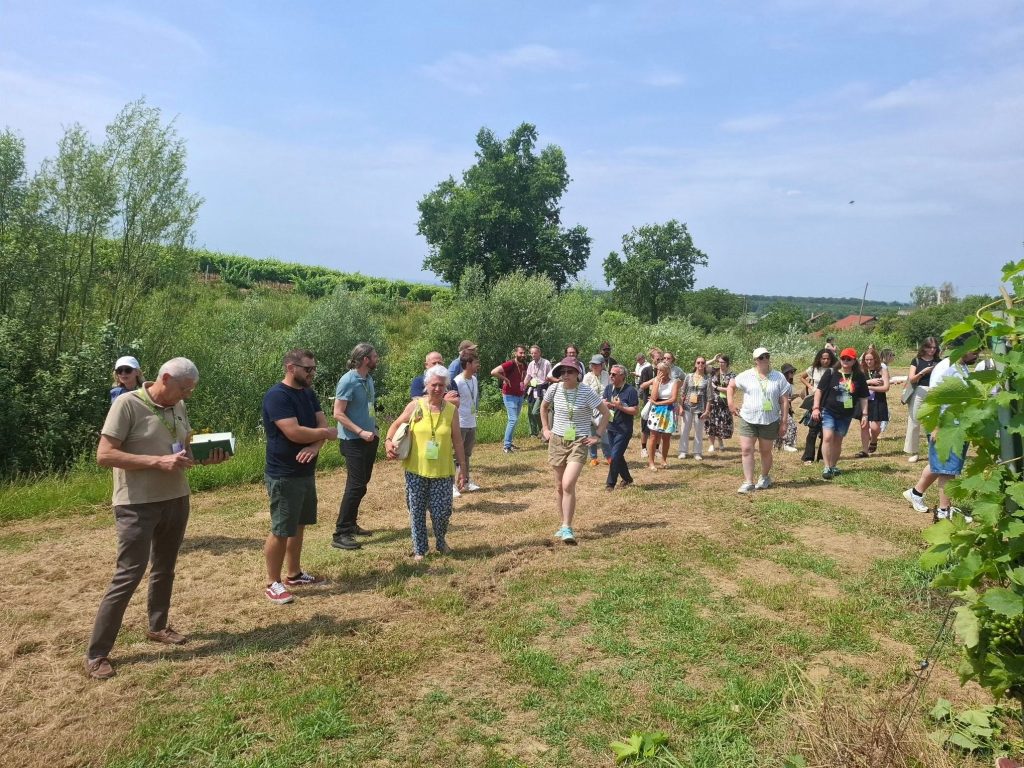 Međunarodni stručnjaci za vinovu lozu u posjetu Vinariji Trdenić