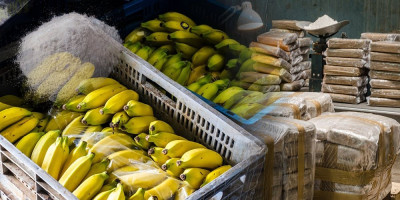 Kokain vredan 50 miliona evra sakrio u banane: Skaj aplikacija razotkrila kriminalnu grupu