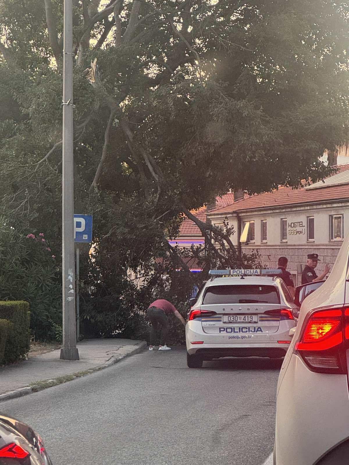 U Vukovarskoj ulici grana pala na cestu i osobno vozilo