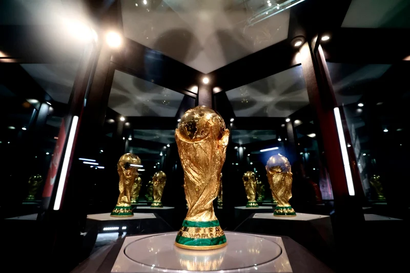 Factfiles of 10 African World Cup hopefuls