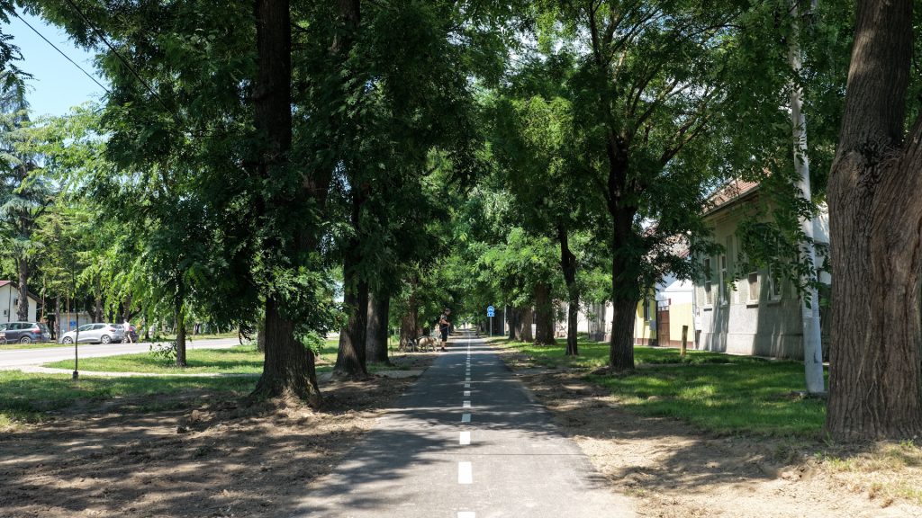 Sombor: Nova biciklistička staza do Bezdanskih salaša završena pre roka (VIDEO+FOTO)