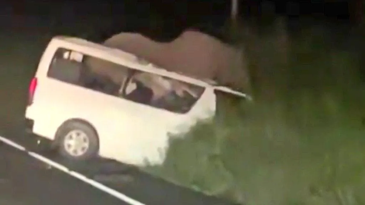 Troje poginulih u Ugandi, sudarili se sa slonom