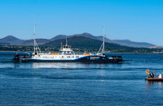 Carlingford Lough ferry suspends services for all of 2026 'without explanation'