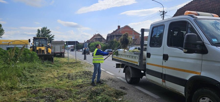 Očišćena divlja deponija i uređene saobraćajnice u Donjem Sinkovcu
