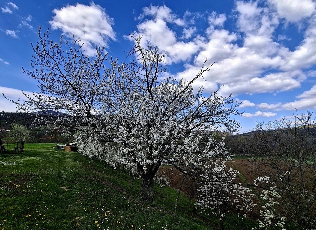 Promenlјivo oblačno