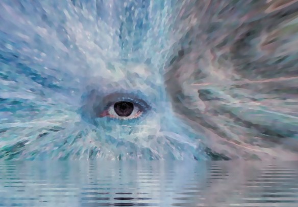 The universe may be filled with consciousness and species made of different stuff than us