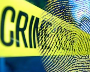 Robber targeted people in parked vehicle