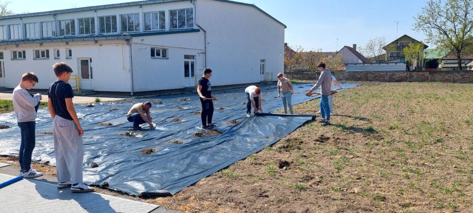 PefiGarden sekcija u akciji: Učenici iz Bečeja uče kroz rad i prirodu