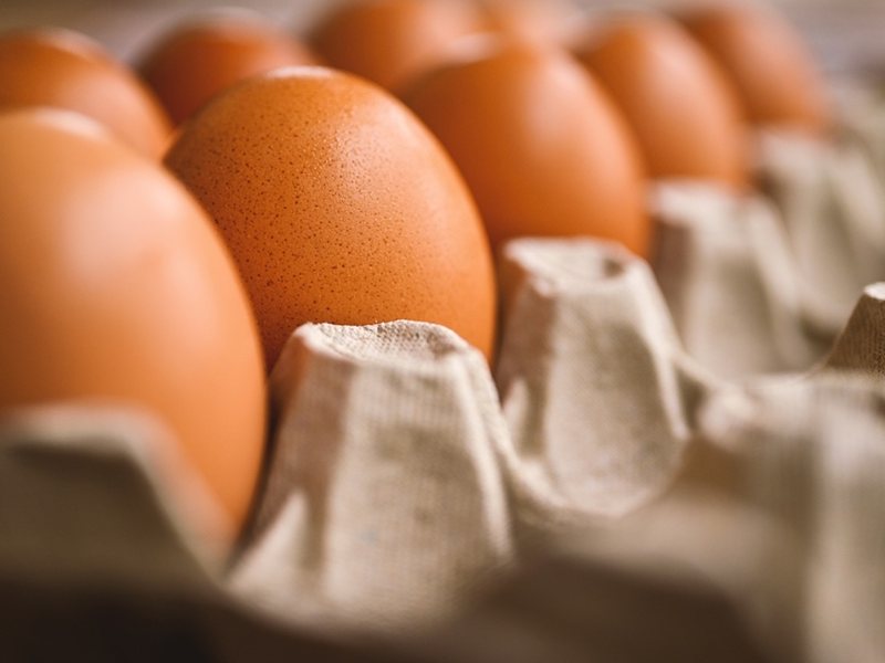 Нови правила как да се продават яйцата