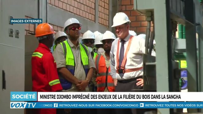 Ministre Djombo imprégné des enjeux de la filière du bois dans la sangha