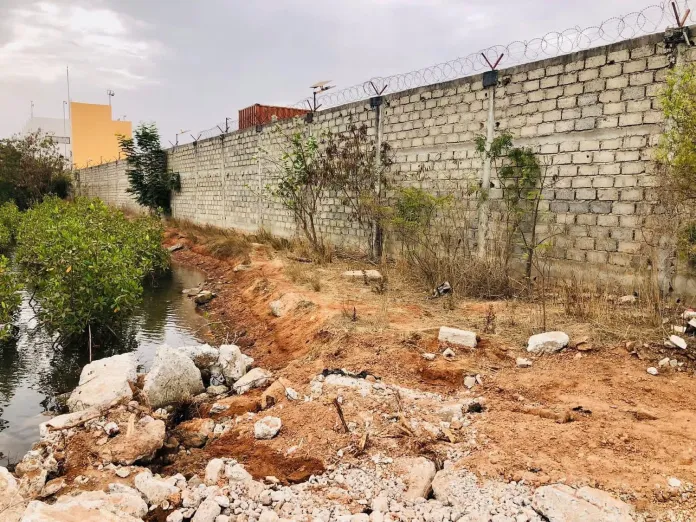 Tanbi Wetland Is Under Attack
