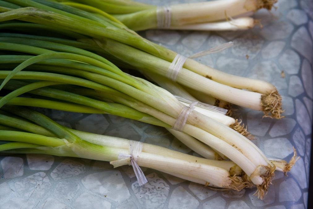 Mladi luk je spas za 3 vrste bolesti: Stari narodni lek koji treba da znate