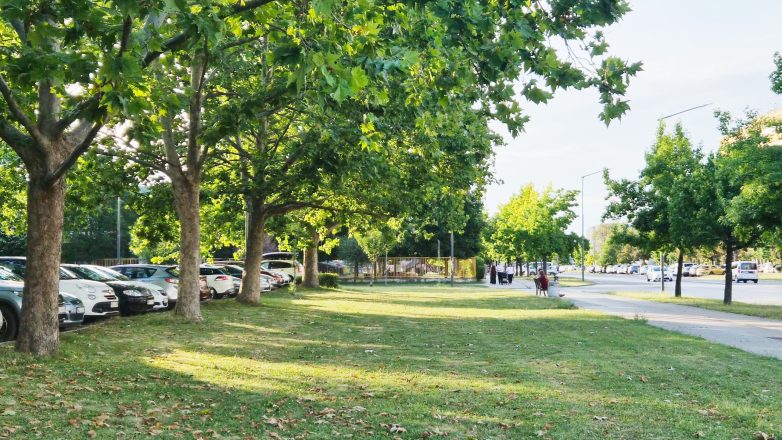 Vrtlar Kruno: Drveće nije ukras grada, već infrastruktura