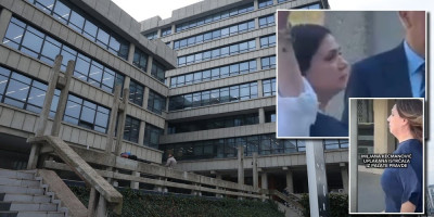Miljana Kecmanović u suzama napustila Palatu pravde: Šok nakon završnih reči tužilaca (VIDEO)