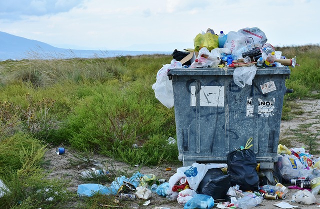 Nakon Pridea u Beču ostale tone otpada: Građani zgroženi prizorima nereda