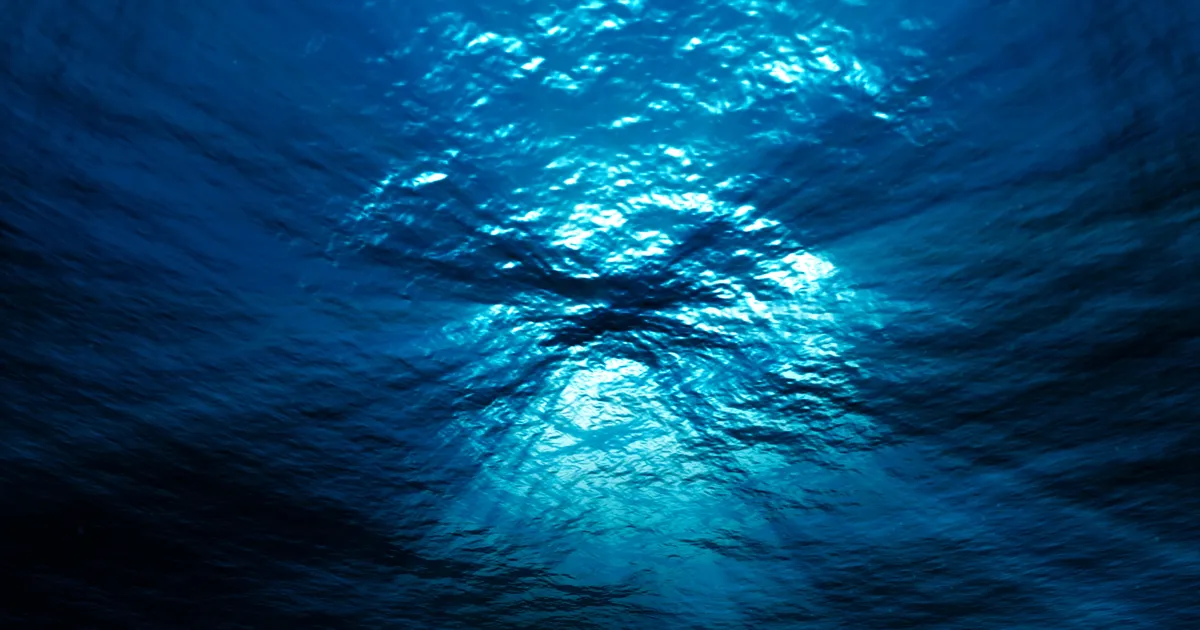 Mysteriöses Tiefseetier lässt Wissenschafter weltweit rätseln