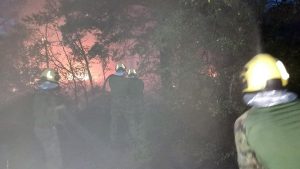 Opštinski štab za vanredne situacije: Šumarak i Dubovac su bezbedni od požara