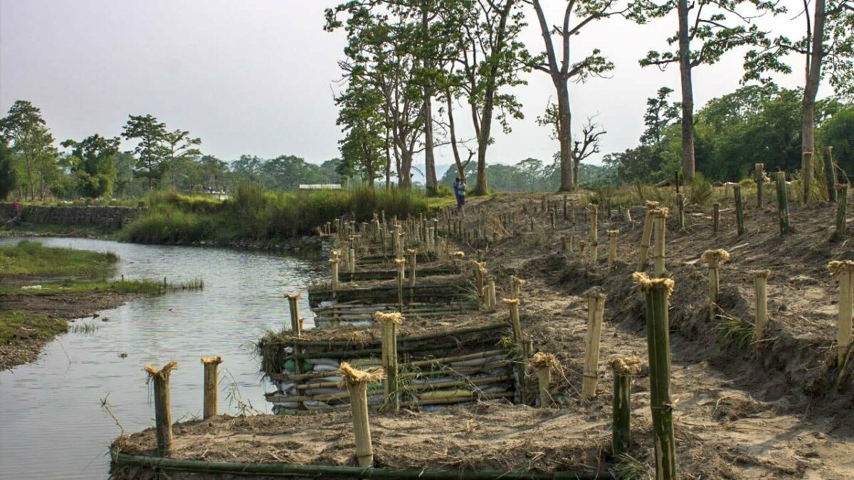 How nature-based solutions can help vulnerable and marginalized communities overcome climate injustice