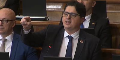 Pravedna tetka štitila kriminalca?! Mrdić traži hitan postupak protiv Bojane Savović zbog političkog skupa
