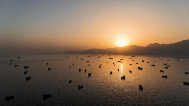 OECD advarer om “mørkt scenarie” med forlænget Hormuz-krise