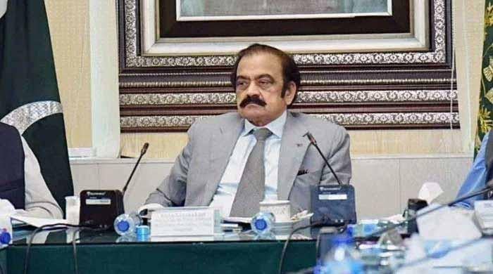 28th Amendment on the cards, says Rana Sanaullah