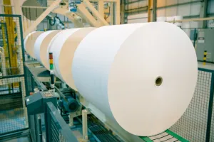Mercado de celulose segue dividido, com pressão na China e estabilidade no Ocidente