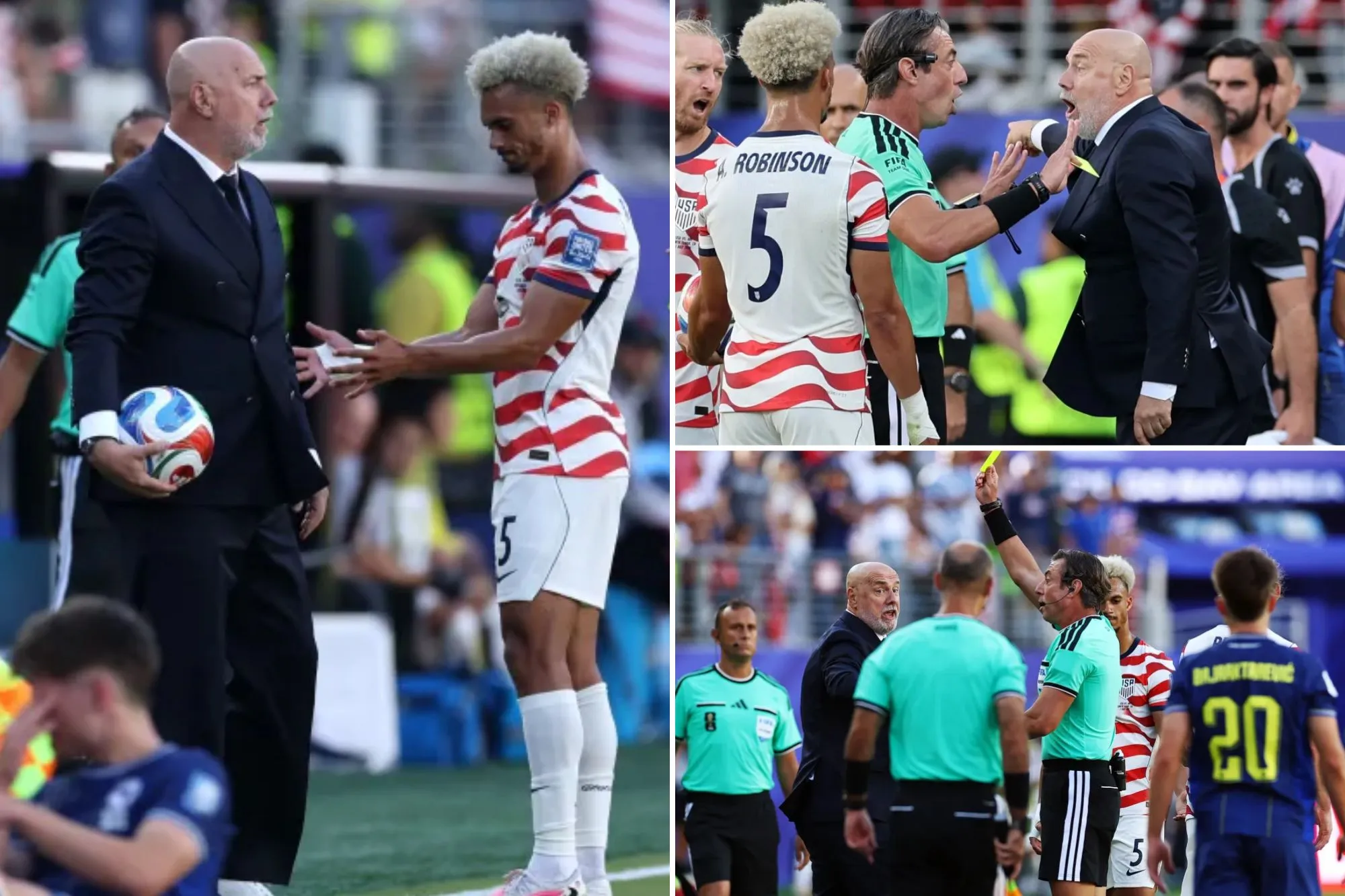 Bosnia-Herzegovina coach grabs ball, gets yellow card as he flips out in World Cup loss to USMNT