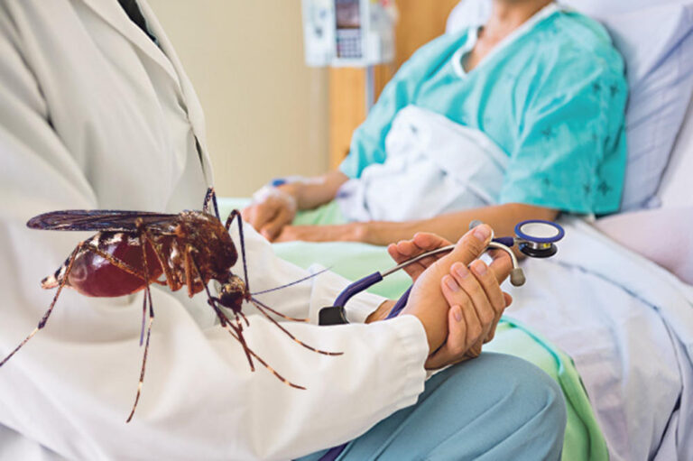 U Srbiji šestoro oboljelih od groznice Zapadnog Nila: Svi imaju i meningitis