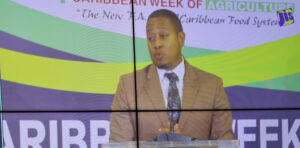 IICA NEWS: Jamaica to host 2026 Caribbean Week of Agriculture, which will have a focus on innovation and IICA as one of its organizers