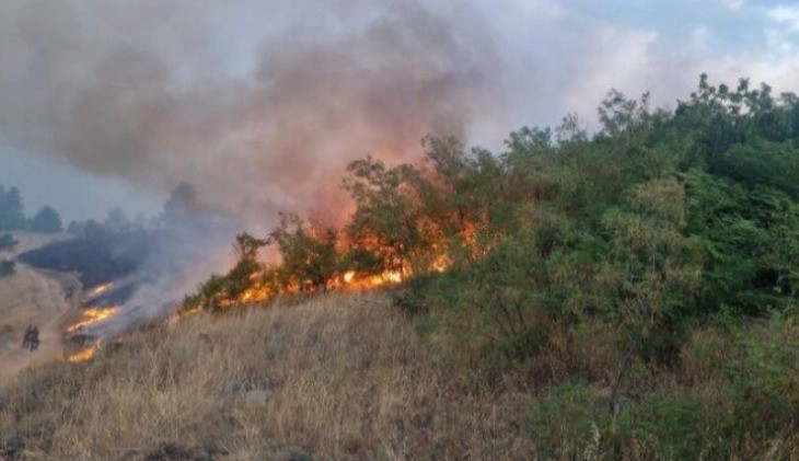 Golem požar vo istočna Albanija, evakuirani 11 semejstva