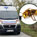 Masa ljudi ovo radi kada vidi stršljena, a oni tada postaju još agresivniji! Ubod može da bude fatalan, a sada ih ima sve više