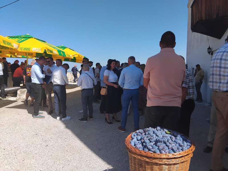 Hrnjić in Gradačac: Plum represents a major potential for Bosnia and Herzegovina