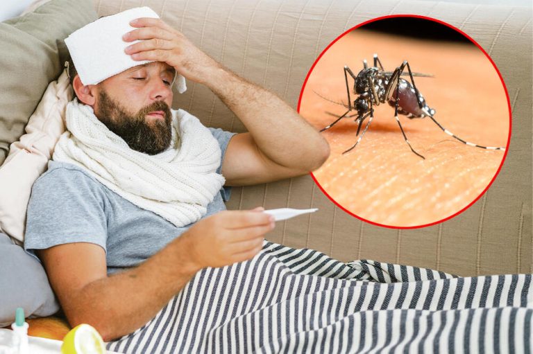Ovo treba da znate o virusu Zapadnog Nila: Ne postoje lijekovi ni vakcina, a simptomi mogu biti opasni