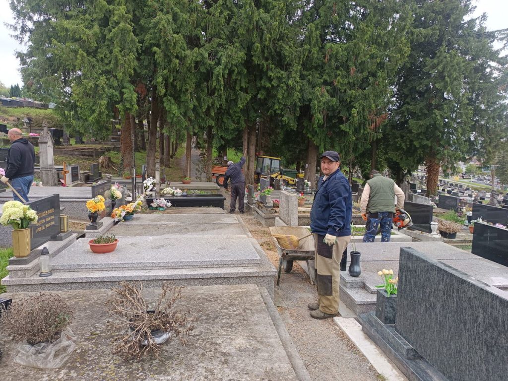 Uklanjanje stabala na Gradskom groblju u Daruvaru