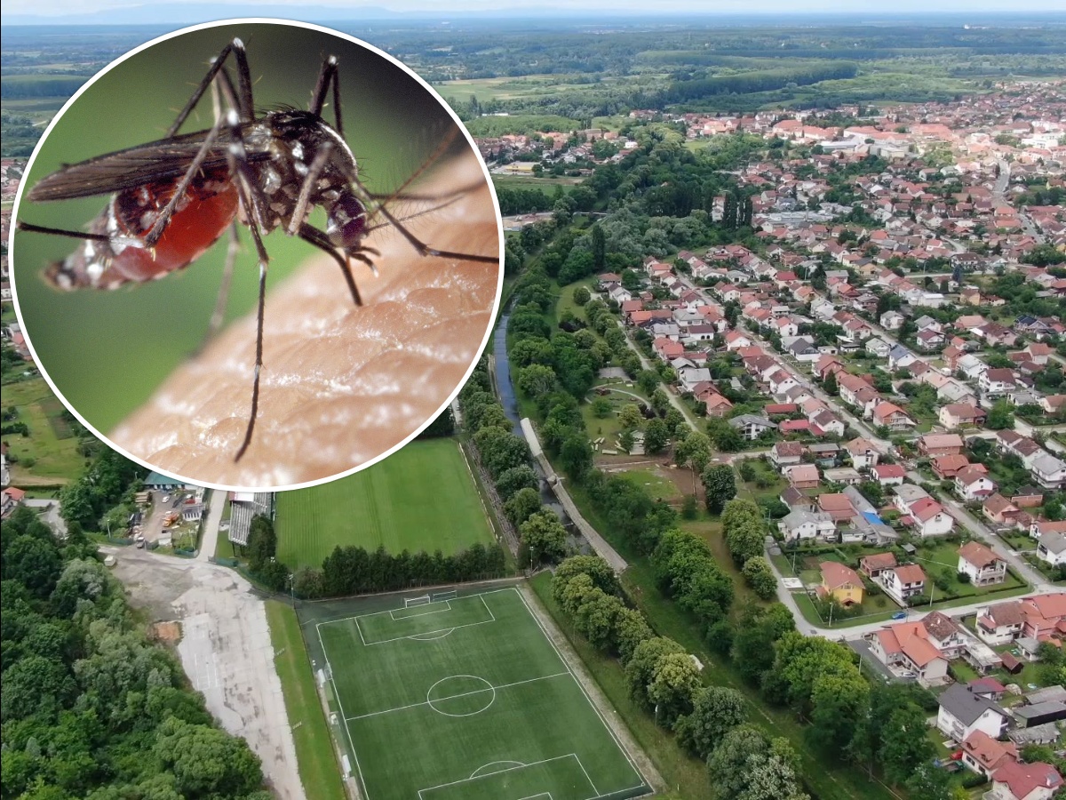 U Petrinji krajem svibnja slijedi tretman suzbijanja komaraca